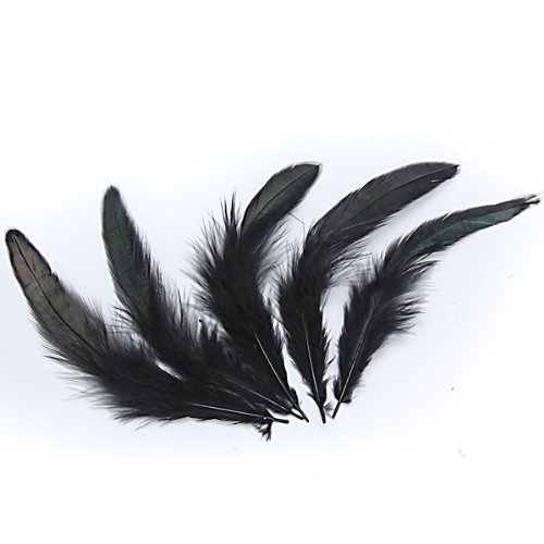 150 Stk. gefärbt Dekor Hahn Feder Hut Fan Schwarz - 6