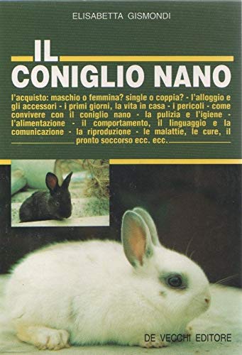 Il coniglio nano