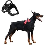 Mr.Dog No-Pull Hunde Sicherheitsweste /Hundegeschirr für Große Hunde, Hundehalsband Leuchtend Schwarz 40-74cm