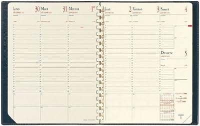 Autre QUO VADIS Agenda MANAGER Couv Plast Grainée noir 21 x 27 cm - 2018