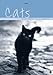 Cats Birthday Calendar: Jahresunabhängig by