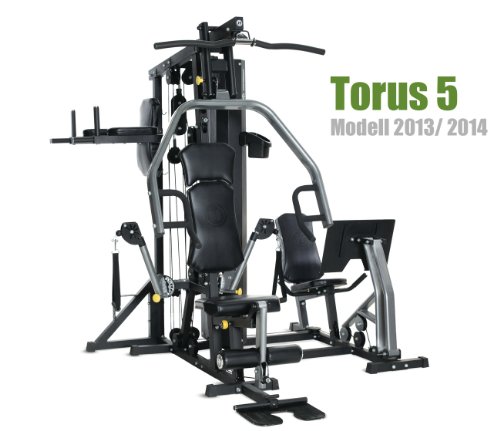 Preisvergleich Produktbild Horizon Fitness Kraftstation Torus 5