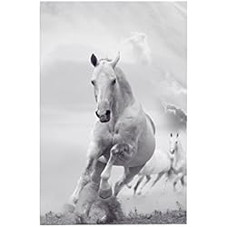 Homeofying - Cuadro de pared, diseño de caballo negro y blanco, sin marco, para dormitorio u oficina, 50*75cm