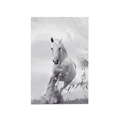 Homeofying - Cuadro de pared, diseño de caballo negro y blanco, sin marco, para dormitorio u oficina, 50*75cm