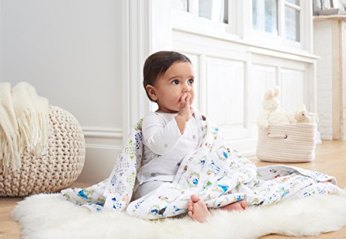 aden + anais 6052G Classic Dream Blanket Paper Tales - 4