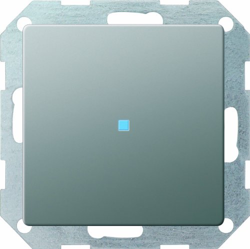 Preisvergleich Produktbild Gira 013620 Tastschalter Kontroll Wechsel Gira E22 Edelstahl