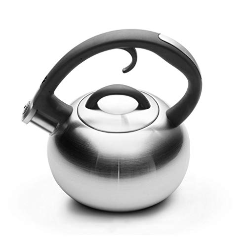 Bouilloire  Sifflet Automatique Gnral En Acier Inoxydable 304 3L Haute Qualit Cuisinire  Gaz Bouilloire XIN