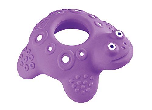 MAM Friend Teether (Bob the Turtle)