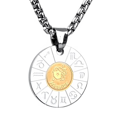 COPAUL Bijoux Acier Inoxydable Pendentif Collier Homme Femelle Signe astrologique Zodiaque Zodiac,Verseau 