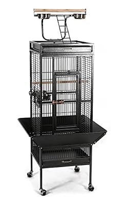 United Bird CAGE PERROQUET METAL BLUE PARROT