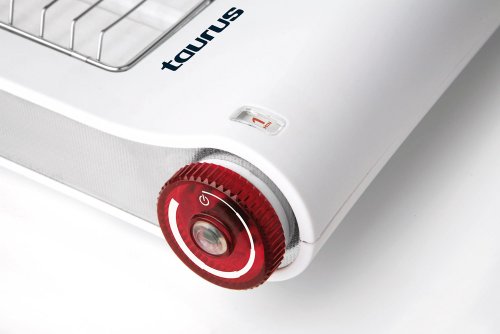 Imagen principal de Taurus 960999