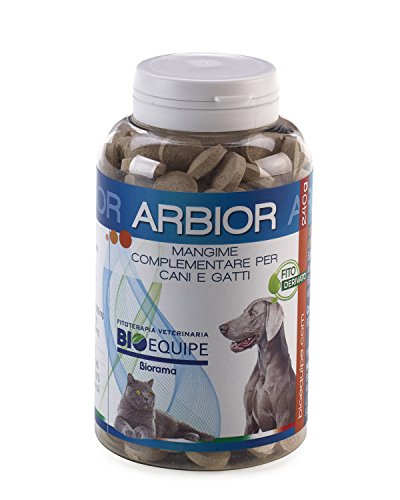 BIOEQUIPE ARBIOR MSM - CONDROITINA - GLUCOSAMINA per Cani ARTICOLAZIONI Sane E Forti - ANTIDOLORIFICO ARTROSI Cani 300 COMPRESSE da 800mg