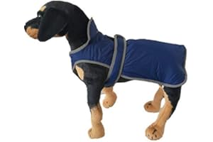 RC GearPro Reversible Stormguard Design Winter Dog Vest Reflective Waterproof Windproof Pet Coat Cold Weather Warm Puppy Jacket (M, blue)