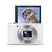 Price comparison product image Sony DSCWX500 Digital Compact High Zoom Travel Camera with 180 Degrees Tiltable LCD Screen (18.2 MP, 30 x Optical Zoom, Wi-Fi, NFC) - White