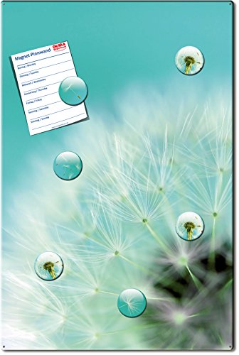 Magnettafel Pusteblume – Himmlische Design Magnettafel 60×40 cm – Pinnwand Memoboard mit Motiv: Pusteblume inkl. 6 Magnete mit Pusteblumenmotiven – Original Magnetpinnwand GUMA Magneticum - 2