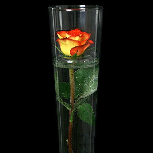 3 x Blütenring aus Klarglas für frische Blütenköpfe. Abstandhalter für frische Blumen.Maße Ø 7,5cm von Glaskönig - 4