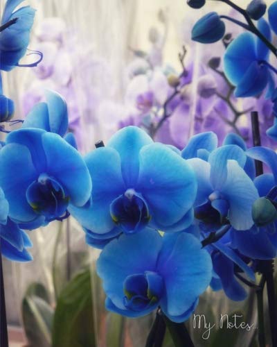 Preisvergleich Produktbild My Notes: 8x10 Lined Journal / Notebook