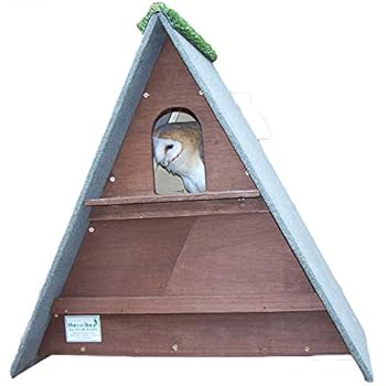 Barn Owl Nest Box Dark Brown Amazon Co Uk Garden Outdoors