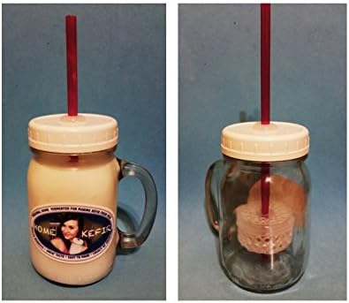 Kefir Fermenter (0.35L/12oz) by Kefir Fermenter