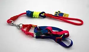 A+a Pets Rainbow Harness and Leash for Pet (Color : Rainbow), Rainbow, Medium, 140 g