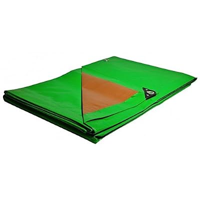 Tecplast Bâche 6 x 10 m multi usages 250g bâches étanches - lourde et résistante