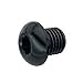Produktbild Kunststoff-Schraube M10 Kunststoff zum Einsetzen in den Cantisockel, schwarz (1 Stück)