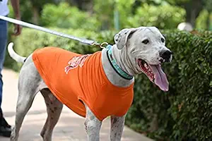 Mutt of Course Crime Master Doggo Dog T Shirt (Color - Orange) (Size - Neck -18.5 | Chest 26 | Length - 22