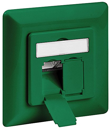 Preisvergleich Produktbild intellinet 771696 Cat6A-Unterputzdose (2 Ports / FTP) grün