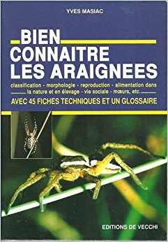 Bien connaître les araignées gratuit Bien connaître les araignées gratuit