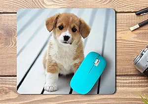 Kd Retail Printed Mouse Pads [Rubber] [for Men & Women][for Boy & Girl][Computer Laptop Accessory] mousepada_m31