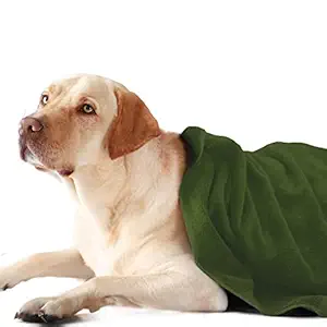 Sassoon Ultra Soft Microfiber Pet Towels, Size - Large, Green