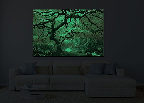 Startoshop, nachtleuchtende Leinwandbild, Wandbild Baum, Ahorn im Herbst 80 cm x 120 cm - 5