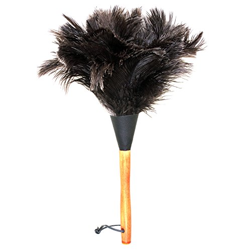 Preisvergleich Produktbild TelMo® Staubwedel mit Straußenfedern, Buchenholzgriff, ca. 35 cm