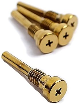 Casio Uhren Ersatzteile Ersatzschrauben Schrauben Goldfarben für GS-1100 10260585