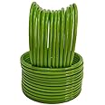 Plain Glass Bangle in Parrot Green Color for Women & Girls (Pack of 24)