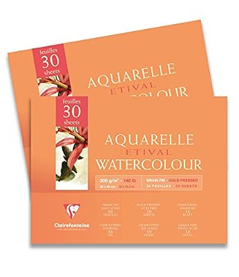 Clairefontaine 96470C - Un bloc encollé 4 côtés Papier Etival Grain fin 25 feuilles 18x24 cm 300g