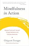 Mindfulness in Action: Making Friends with Yourself through Meditation and Everyday Awareness by