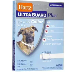 Hartz Ultraguard Plus Flea and Tick Dog Collar