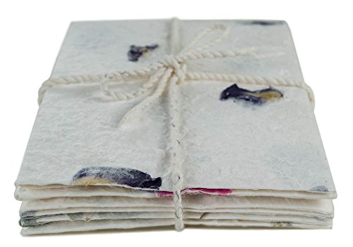 Öko-Petal Umschlag und Briefpapier Blumenmix Regular - Stück pro Packung 6 (12cm x 18cm)