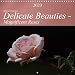 Produktbild Delicate Beauties - Magnificent Roses (Wall Calendar 2020 300 × 300 mm Square): The rose: Queen of the flowers (Monthly calendar, 14 pages ) (Calvendo Nature)