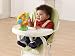 VTech Baby Little Friendlies Sing Along Spinning Wheel
