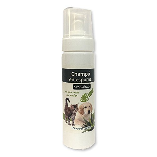 Specialcan Champú en Espuma con Aloe Vera 200ml