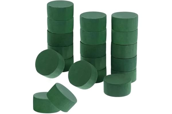 Générique Oasis Cylindres Mousse Florale Humide Verte pour Compositions Fleurs Artificielles Fleurs Fraîches/Diamètre 8cm x 5cm / (16)