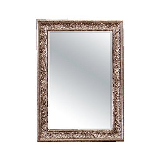 Pompöser Barock Spiegel FIORA 90x70cm Silber – Antik - 4