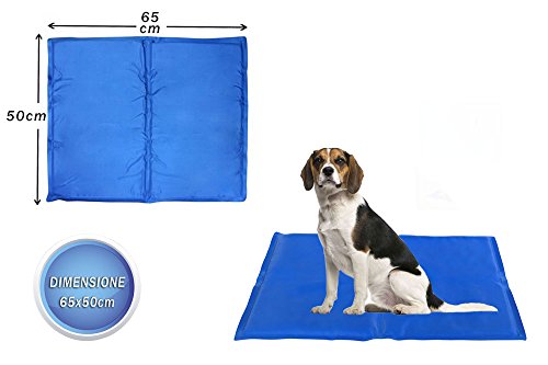 Recensione Tappetino Rinfrescante Per Cani Con Quale