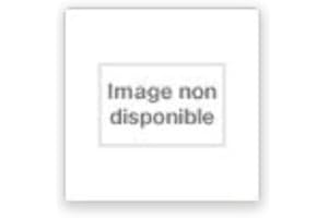 Juju: A Social History and Ethnography of an African Popular Music (Chicago Studies in Ethnomusicology CSE)