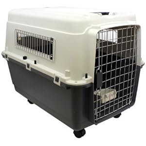 Hund und Katzen Transportbox Tiertransporter Hundebox LTB90 Beige/Grau