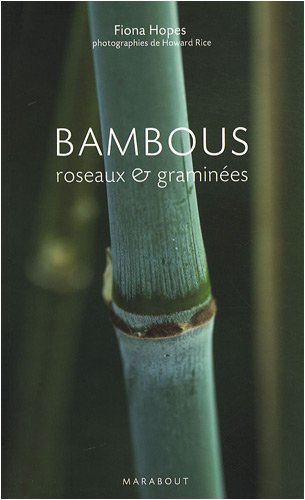 couverture de : Bambous, roseaux & gramin&eacute;es