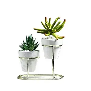 Pottery Studio, Designer Plant Pot with Stand, for Your Home Garden // Balcony Garden // Home Dcor // Office // Hotel // Bar // Office