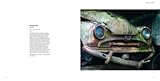 Image de Wildlife Photographer of the Year Portfolio 22: Portfolio 22